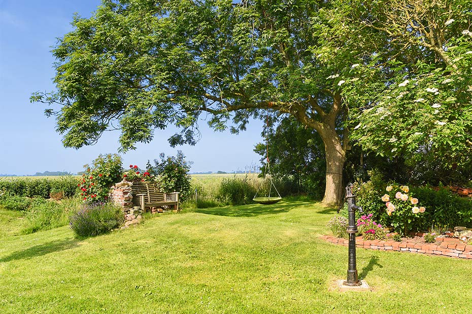 Foto aus der Fotogruppe 