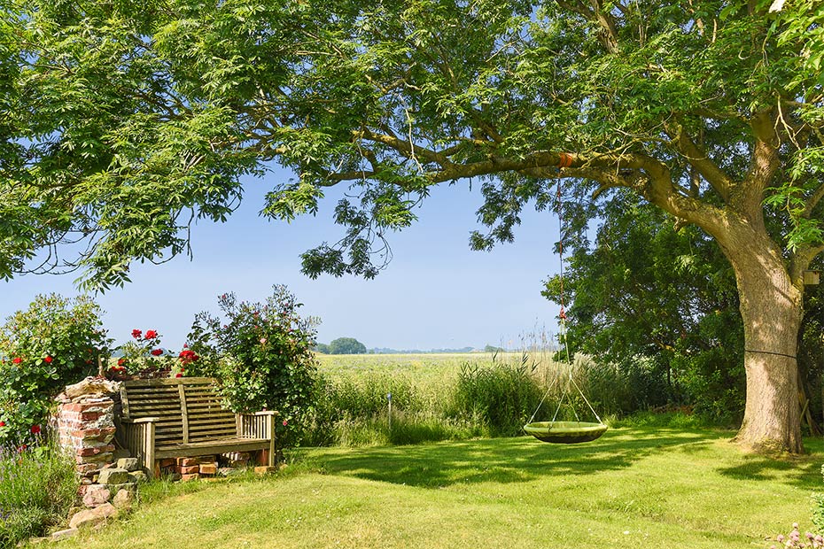 Foto aus der Fotogruppe 