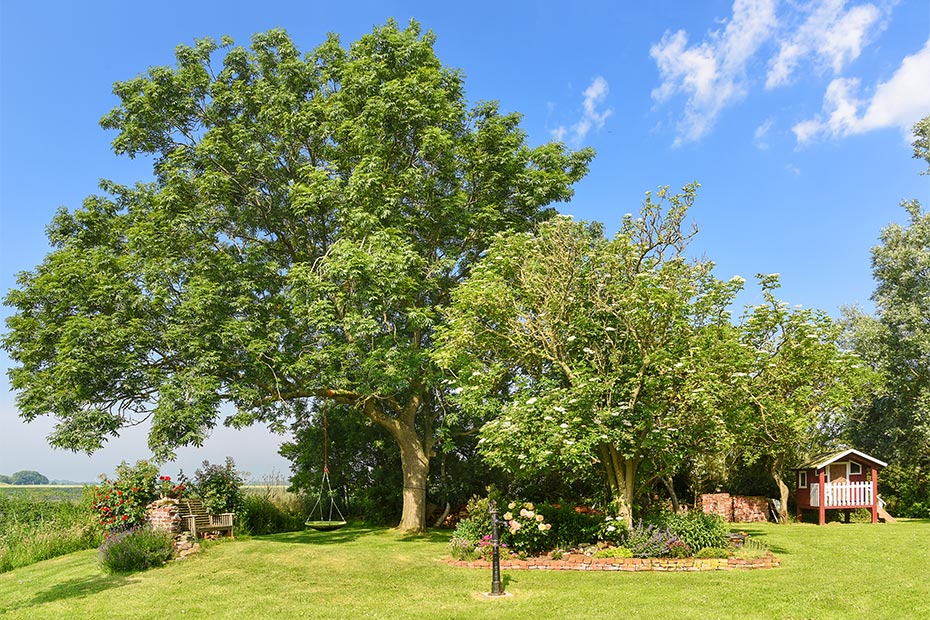 Foto aus der Fotogruppe 